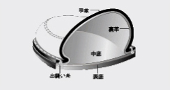 ステッチダウン式製法