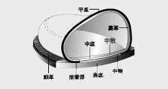 セメント式製法